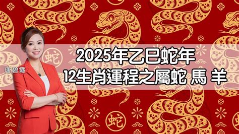 2025蛇年運程|2025年蛇年十二生肖運程詳解